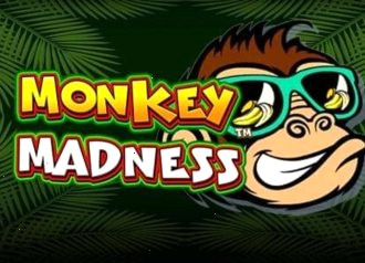 monkey madness слот